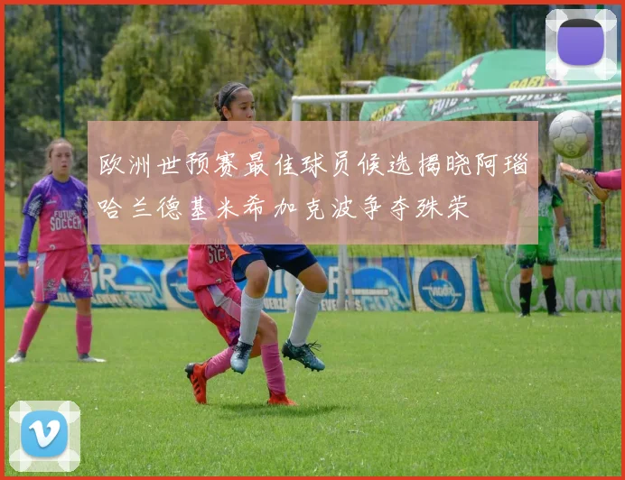 欧洲世预赛最佳球员候选揭晓阿瑙哈兰德基米希加克波争夺殊荣