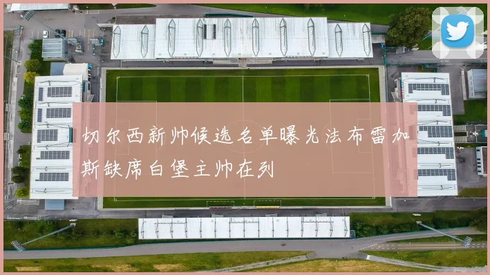 切尔西新帅候选名单曝光法布雷加斯缺席白堡主帅在列