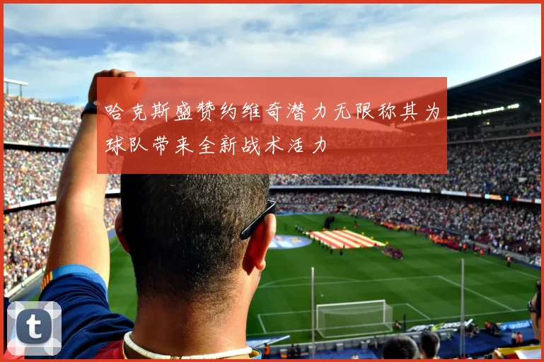 哈克斯盛赞约维奇潜力无限称其为球队带来全新战术活力
