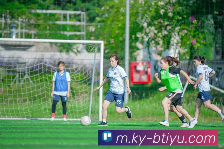 B体育APP 封面图